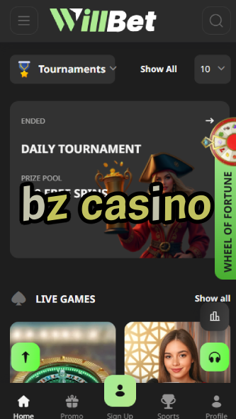 BZ Casino - Fast Payouts & 24/7 Support-www.bdqngd.com