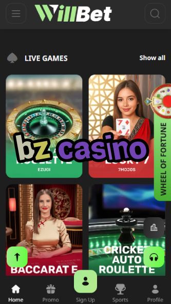 BZ Casino - Fast Payouts & 24/7 Support-www.bdqngd.com